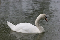 2008_0820_191400AA-800.jpg